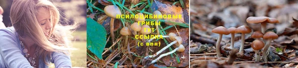 дживик Снежинск