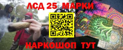 стафф Берёзовский