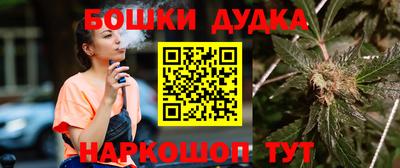 СК Бийск