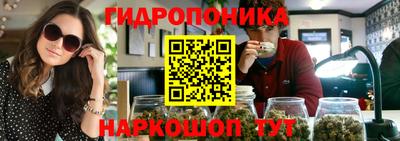 СК Бийск