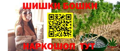 СК Бийск