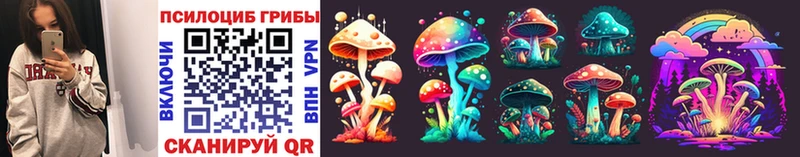 Псилоцибиновые грибы GOLDEN TEACHER  Мытищи 