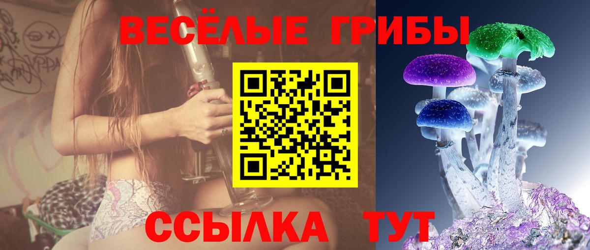 Галлюциногенные грибы Magic Shrooms Мытищи